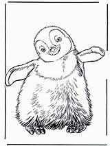 Penguin Coloring Pages Kids Printable Print Emperor Feet Happy Realistic Penguins Colouring Animal Cute Pinguin Color Animals Club Baby Template sketch template