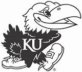 Ku Clipart Jayhawk Kansas Coloring Outline Silhouette Clip University Identity Cliparts Visual Clipground Designs Clipartbest Choose Board sketch template