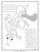 Platypus Coloringbay sketch template