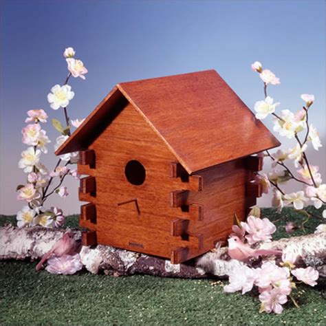 birdhouse kits  cottonwood bird house