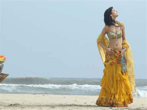 actress navel show photosactress saree  navel show  actress shruthi hassan navel