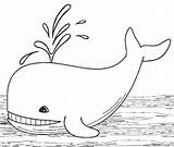 Whale Coloring Pages Sperm Line Drawing Kids Printable Cool2bkids Paintingvalley sketch template