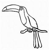 Beak Template Bird Craft Toucan Clipart sketch template