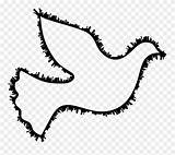 Clipart Big Dove Colouring Pages Pinclipart sketch template
