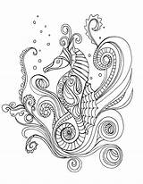 Coloring Seahorse Pages Grown Colouring Adult Horse Color Adults Sea Outline Printable Sheets Seahorses Drawing Para Mandalas Colorir Desenhos Coloring4free sketch template