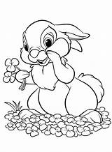 Bunny Coloring Pages Adults Printable Flowers Bunnies Getcolorings Colorings sketch template