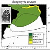 Afbeeldingsresultaten voor "botryocyrtis Scutum". Grootte: 101 x 101. Bron: palaeo-electronica.org