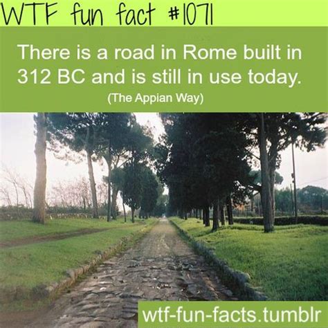 wtf fun facts barnorama