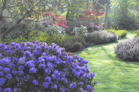 le jardin anglais la face romantique du jardin de pellinec