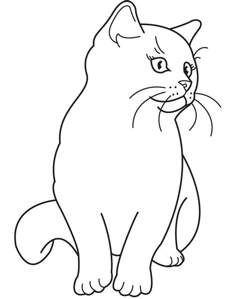 printable realistic cat coloring pages