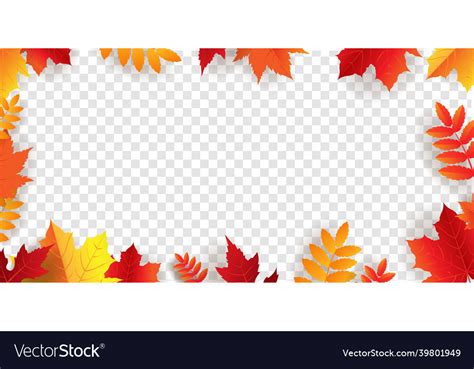 autumn border  bright leaves transparent vector image