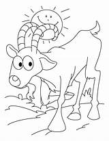 Ibex Coloring Pages Sunny Walking Kids sketch template