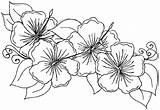 Coloring Hawaiian Flower Flowers Pages Printable Hibiscus Educativeprintable Sheets Summer Sheet Book Via Tag sketch template