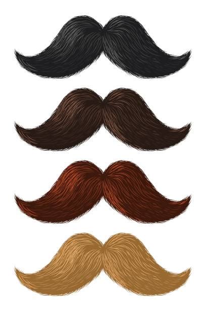 blonde mustache illustrations royalty free vector graphics and clip art