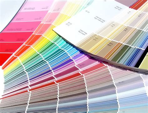 paint samples   photo  freeimages