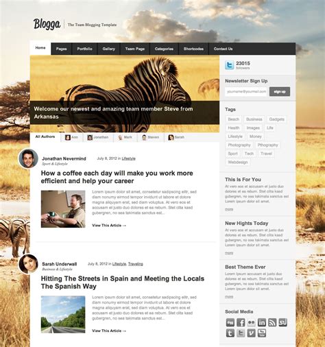 top  wordpress templates  blogs  responsive design