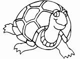 Coloring Turtle Baby Pages Popular sketch template