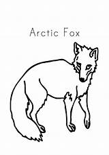 Arctic Artic sketch template