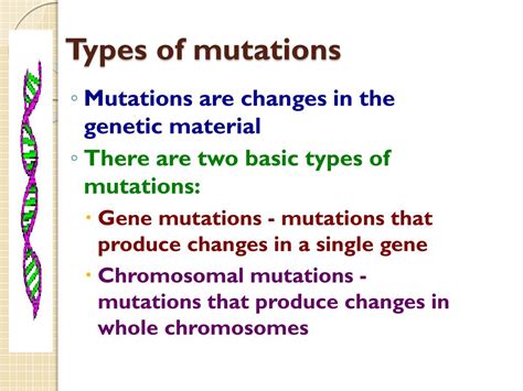 types of gene mutation difference between gene mutation and