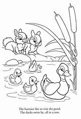 Pond Duck Drawing Coloring Getdrawings Ducks Pages sketch template