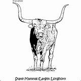 Longhorn Homeschoolers sketch template