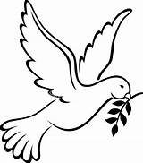 Peace Coloring Sign Pages Dove Clip Doves Clipart Outline Holy Spirit Drawing Drawings Christian Symbol Symbols Twig Meaning Google Branch sketch template
