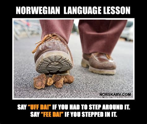 norwegian language lesson describing when to say uff da and when to