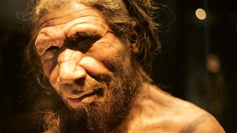 how neanderthal are you bbc reel