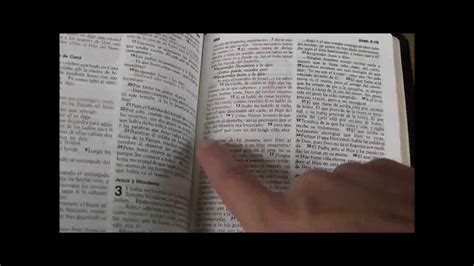 Cómo Encontrar Versículos En La Biblia Youtube