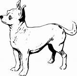 Chihuahua Dog Coloring Pages Choose Board Print Color sketch template