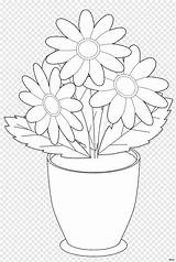 Bunga Florero Mewarnai Hitam Daisies Floreros Blanco Vases Vass Flor Clipartmag Jarrón Webstockreview Protea Cynaroides Kisspng Transpa Prediseñadas Paud Tk sketch template