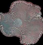 Image result for "epiplocyloides Antarctica". Size: 175 x 185. Source: www.zmescience.com