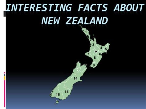 interesting facts   zealand powerpoint