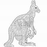 Kangaroo Coloring Zentangle Adult Wallaroo Australian Stylized Aboriginal Pages Freehand Stock Vector Animals 450px 53kb Animal Stress Anti Book Choose sketch template