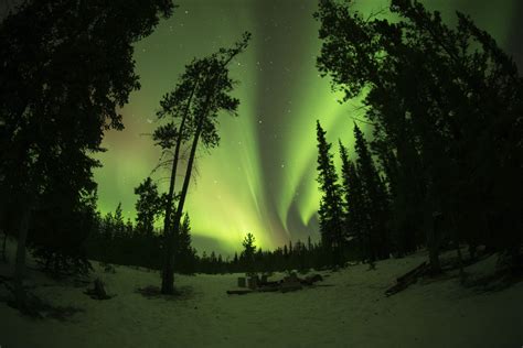 aurora borealis  canada canadian holidays holiday travel trip