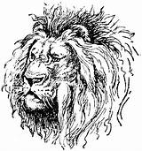 Lion Pages Lions Head Coloring Colouring Drawing Sketch Larger Printablecolouringpages Credit Getdrawings Drawings sketch template