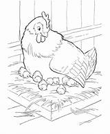 Coloring Farm Animal Pages Chicken Chickens Hen Animals Sheet Print Printable Nest Color Sitting Sheets Activity Her Kids Mother Raisingourkids sketch template