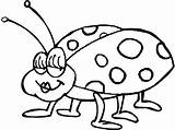 Bug Stink sketch template
