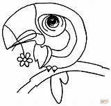Coloring Toucan Bird Beak Pages Flower Outline Color 1029 23kb Supercoloring sketch template