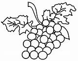 Grapes Therapy Coloring Pages sketch template