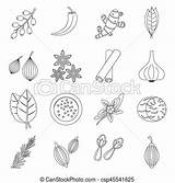 Spice Drawing Paintingvalley Outline Icons Set Drawings Style sketch template