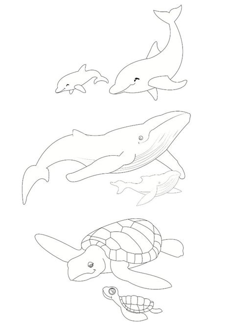whale dolphin turtle colouring pages coloring pages pinterest