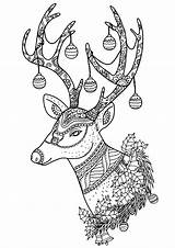 Coloring Christmas Reindeer Pages Adult sketch template