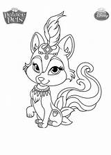 Pets Jasmine sketch template