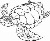 Marine Animals Coloring Marins Animaux Coloriage Kb sketch template