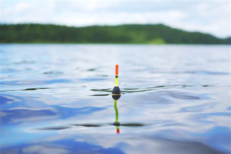 fishing float   lake  snufkin