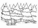 Coloring Trees Pages Pine Forest Tree Winter Landscape Energy Evergreen Drawing Habitat Redwood Save Snowy Coloring4free Resources Natural Sheets Colouring sketch template