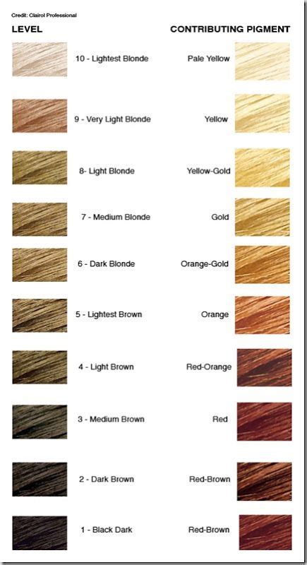 hair color level chart level  hair color hair color chart  home hair color