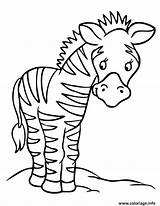 Zebra Zebre Zebras Ausmalbild Imprimer Kresby Coloringpages Pinu Zdroj Azcoloring Coloringhome Imprimé Fois sketch template