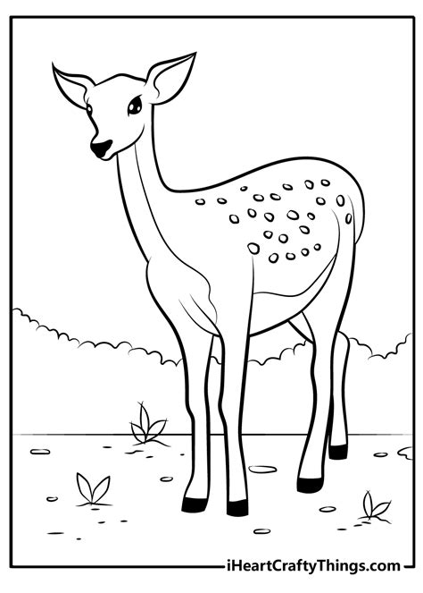baby deer coloring pages coloringall baby deer coloring page coloring